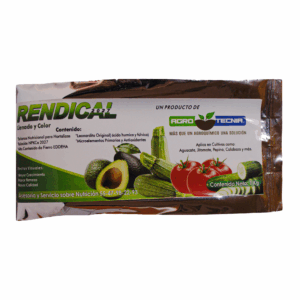 RENDICAL 2027
